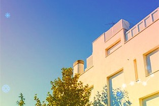 张向晨：中国在维护WTO核心价值等方面发挥了中流砥柱作用