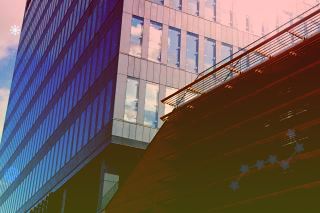 中国种子协会公布2021年度寻找玉米高产品种测产结果