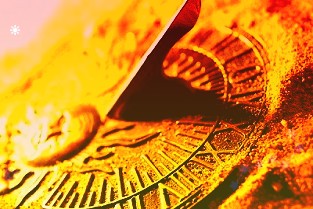 我们预计资金情况的缓解要等春节后为何指数反调整了