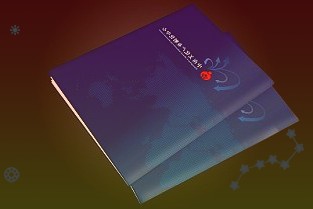 上述参与商品套期保值的公司中以中泰化学保证金额度较高