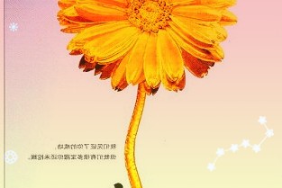 AITO是小康股份旗下的重庆金康赛力斯汽车有限公司与华为联合推出的高端智能汽车品牌